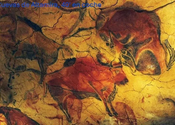 La Mimosa De Hazas, Cantabria Mar Y Montana