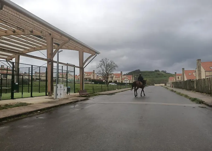 La Mimosa De Hazas, Cantabria Mar Y Montana *
