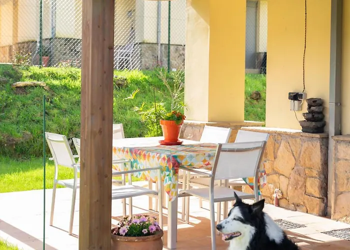 La Mimosa De Hazas, Cantabria Mar Y Montana Feriehus *